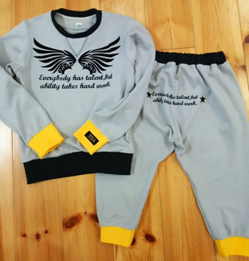 画像2: 羽根&文字ロゴシート (2)