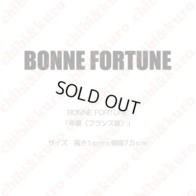 画像1: 【50％OFF】BONNE FORTUNE・幸運（フランス語）(2)  高さ1cmx7.5cm