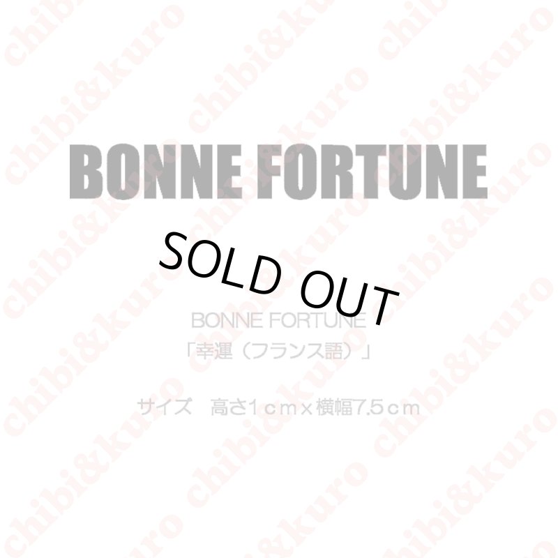 画像1: 【50％OFF】BONNE FORTUNE・幸運（フランス語）(2)  高さ1cmx7.5cm (1)