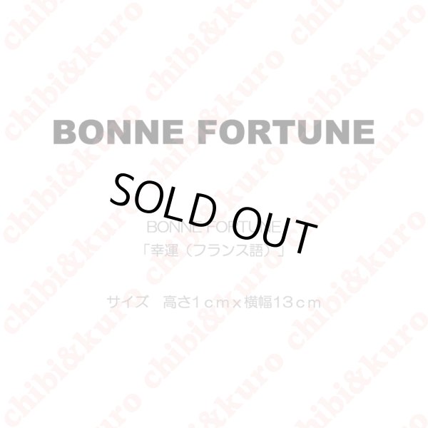 画像1: 【50％OFF】BONNE FORTUNE・幸運（フランス語）(1)　高さ1cmx13cm (1)