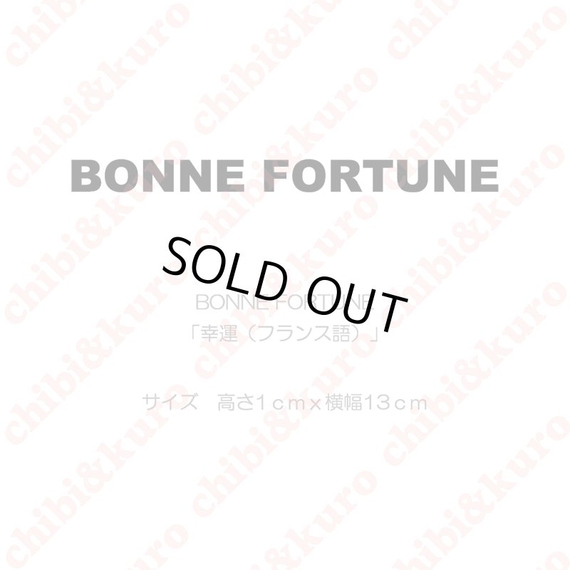 画像1: 【50％OFF】BONNE FORTUNE・幸運（フランス語）(1)　高さ1cmx13cm (1)