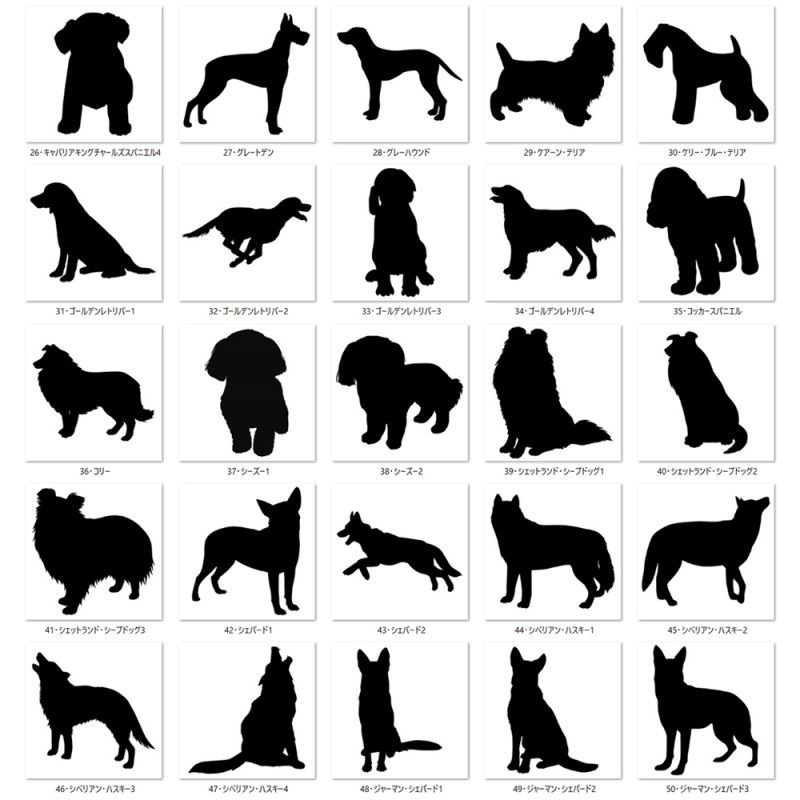 画像5: 【文字変更可能】★わんちゃんが選べる文字ロゴシート (5)