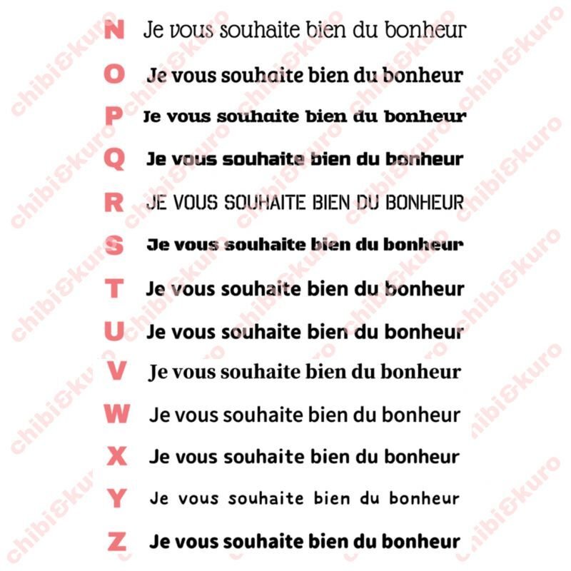 画像2: サイズ&文字が選べることわざステンシルシート★あなたの幸せを心から願っています/Je vous souhaite bien du bonheur (2)
