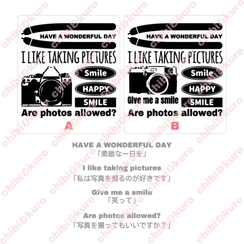 画像1: カメラシートセット (1)