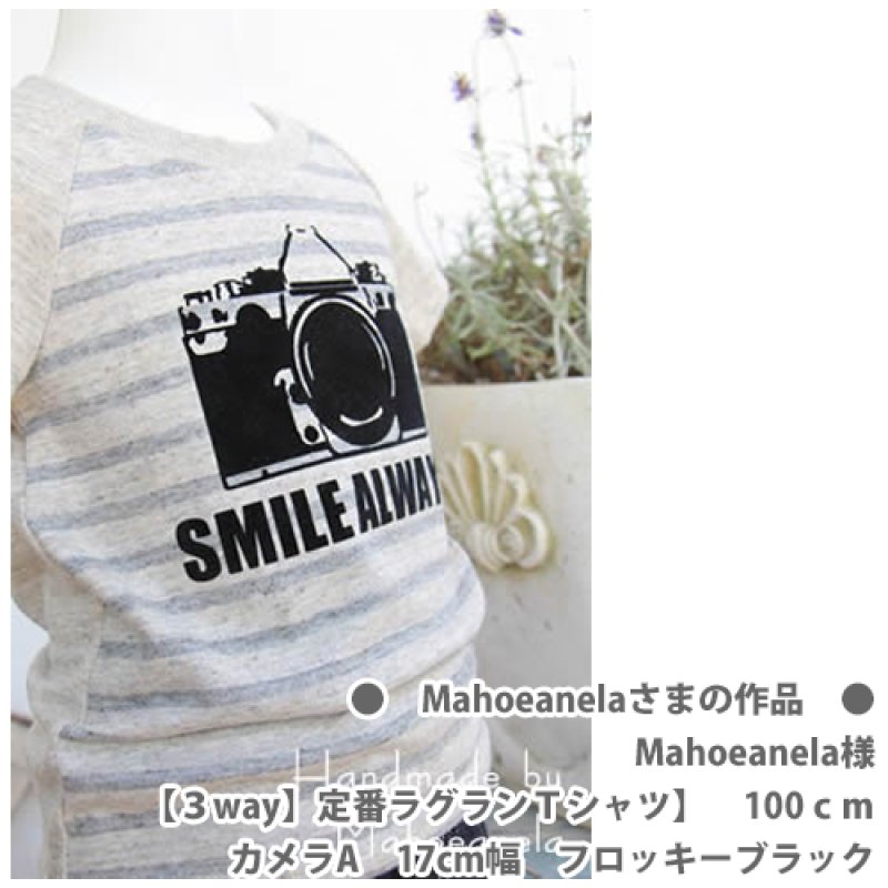 画像7: カメラシートセット (7)