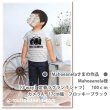 画像6: カメラシートセット (6)