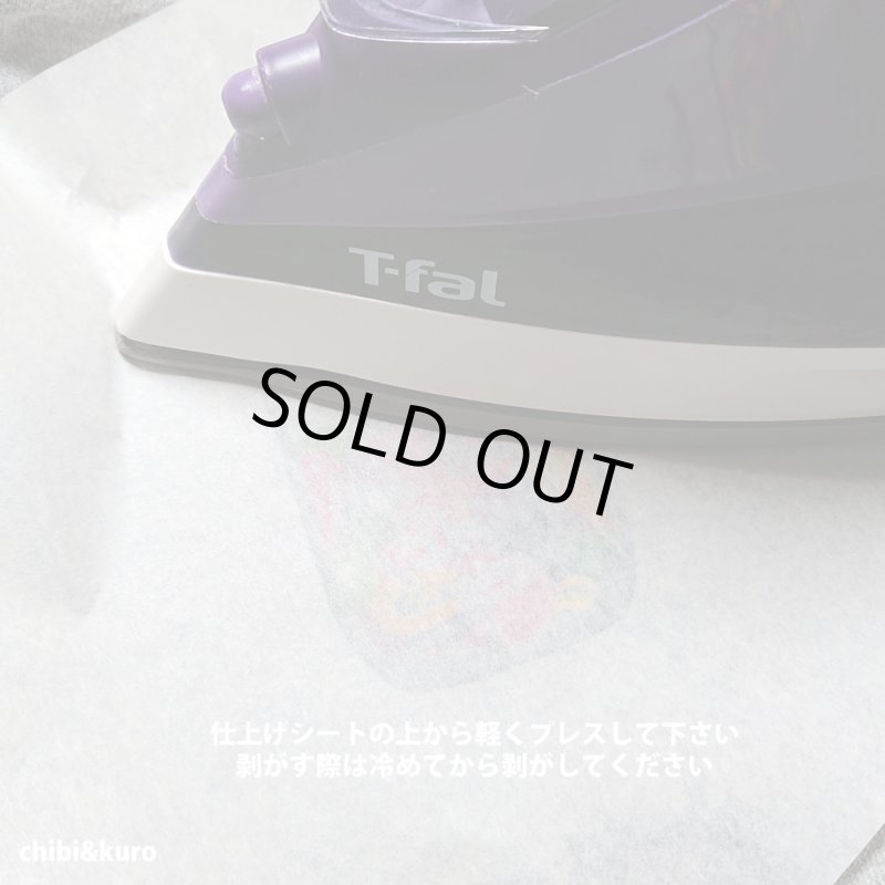 画像19: 【20〜80円引き】サイズ選び不要★フルーツorジェリービーンズ付★メイソンジャーアイロンシート(12x6cmのみ) (19)