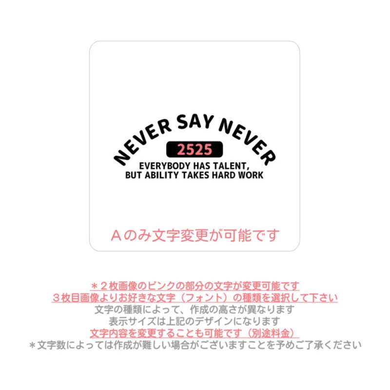 画像2: 【文字変更可能】アメカジ風丸文字ロゴシート  (2)