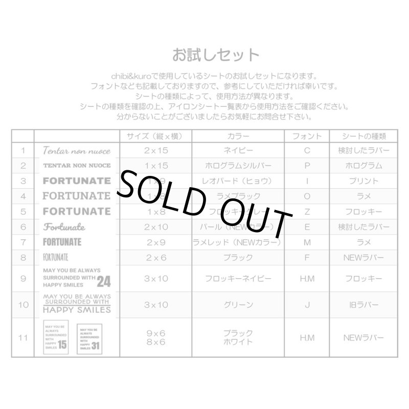 画像6: 【11月19日21時より販売開始 第1弾】お1人様1点のみ★送料無料★同梱・クレジット決済不可★クーポン付★お試しアイロンシートセット (6)