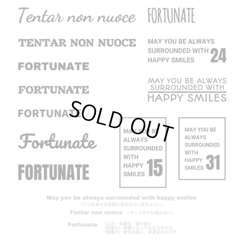 画像5: 【11月19日21時より販売開始 第1弾】お1人様1点のみ★送料無料★同梱・クレジット決済不可★クーポン付★お試しアイロンシートセット (5)