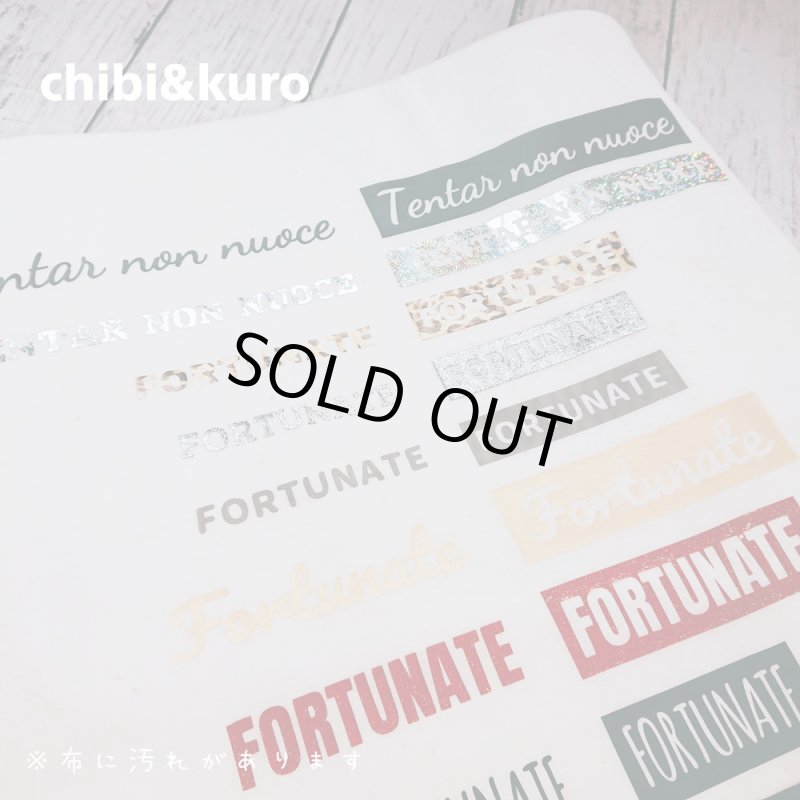 画像2: 【11月19日21時より販売開始 第1弾】お1人様1点のみ★送料無料★同梱・クレジット決済不可★クーポン付★お試しアイロンシートセット (2)