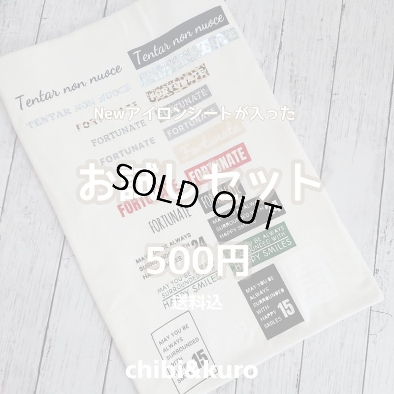 画像1: 【11月19日21時より販売開始 第1弾】お1人様1点のみ★送料無料★同梱・クレジット決済不可★クーポン付★お試しアイロンシートセット (1)