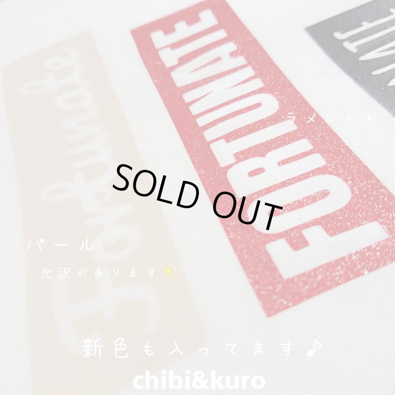 画像4: 【11月19日21時より販売開始 第1弾】お1人様1点のみ★送料無料★同梱・クレジット決済不可★クーポン付★お試しアイロンシートセット (4)