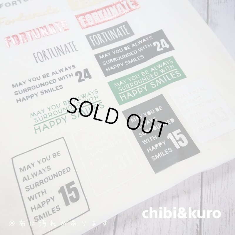 画像3: 【11月19日21時より販売開始 第1弾】お1人様1点のみ★送料無料★同梱・クレジット決済不可★クーポン付★お試しアイロンシートセット (3)