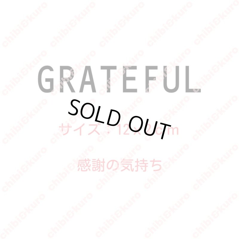画像2: 【10円セール】はがし済★GRATEFUL・感謝する(2) 高さ2cmx12cm (2)