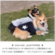 画像13: パステルカラー星＆文字ロゴシート (13)