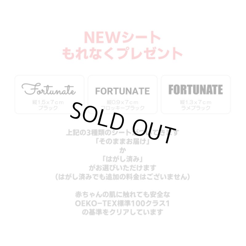 画像9: NEWシート&割引クーポン・もれなくプレゼント★詰め込みset (9)