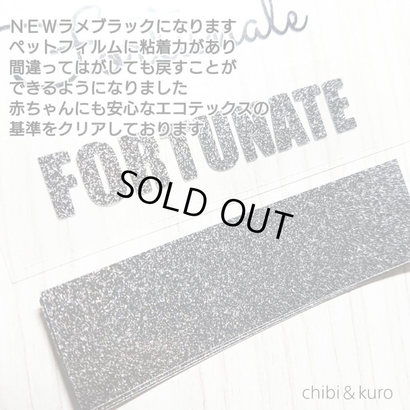 画像10: NEWシート&割引クーポン・もれなくプレゼント★詰め込みset (10)