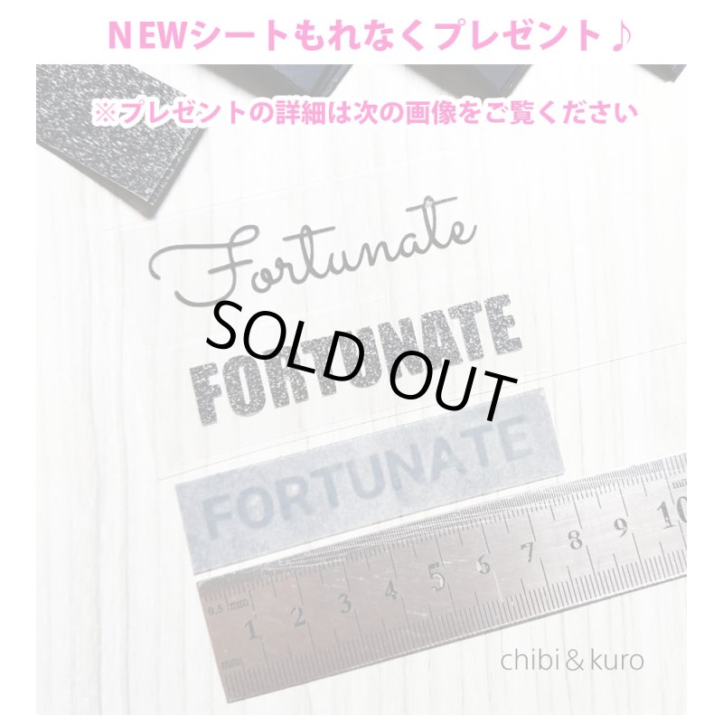 画像8: NEWシート&割引クーポン・もれなくプレゼント★詰め込みset (8)