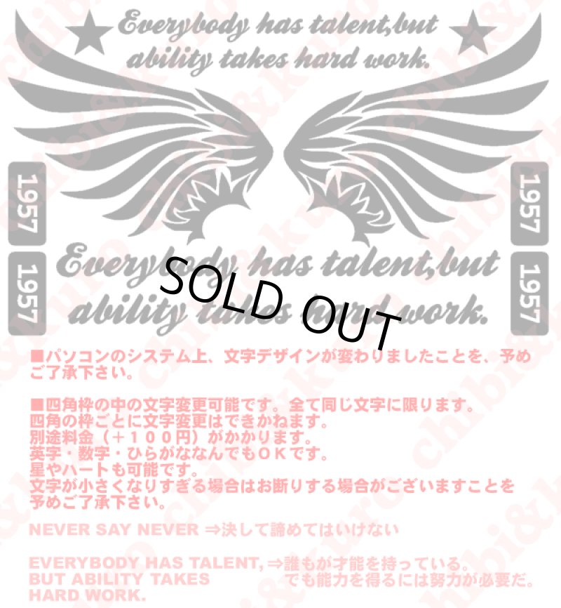 画像2: 【40%OFF】はがし済★羽根文字ロゴアイロンシート・25x14.3cm・ラバーホワイト (2)