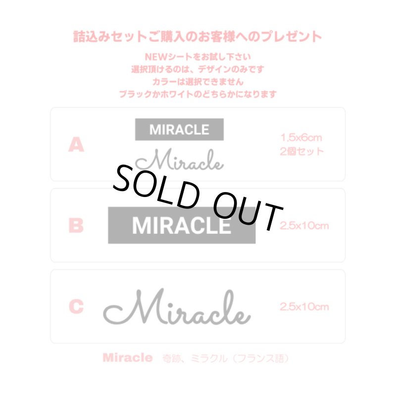 画像2: NEWシートプレゼント★詰め込みセット　第2弾★20ｘ30ｃｍ (2)