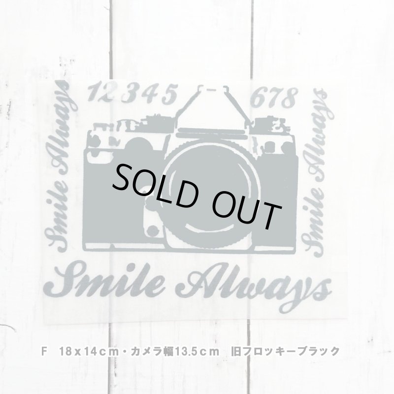 画像6: 【60%OFF】はがし済★カメラロゴシート【A】 (6)