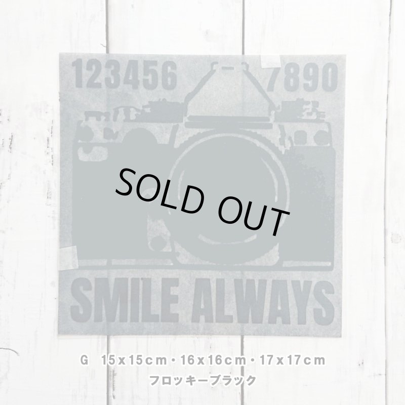 画像3: 【50%OFF】はがし済★カメラロゴシート【B】フロッキーブラック (3)