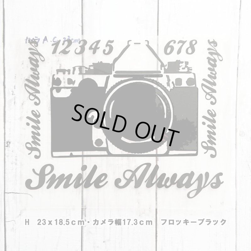 画像7: 【60%OFF】はがし済★カメラロゴシート【A】 (7)