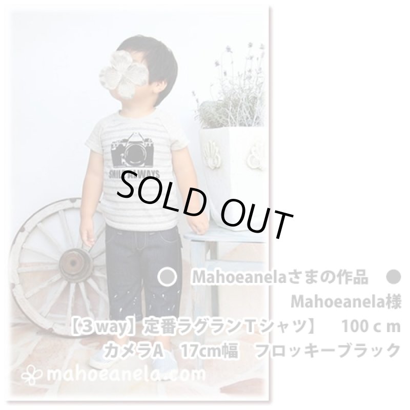 画像8: 【60%OFF】はがし済★カメラロゴシート【A】 (8)