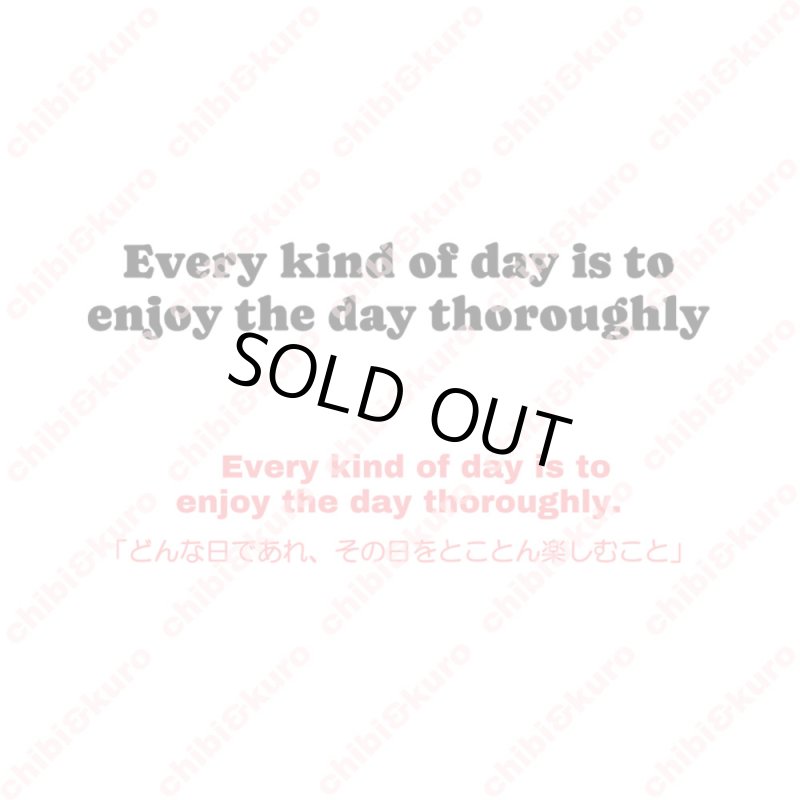画像2: 【40％OFF】はがし済★Every kind of day is to enjoy the day thoroughly「 どんな日であれ、その日をとことん楽しむこと」/13ｘ2.1ｃｍ・13.5ｘ2.2ｃｍ・15ｘ2.3ｃｍ (2)