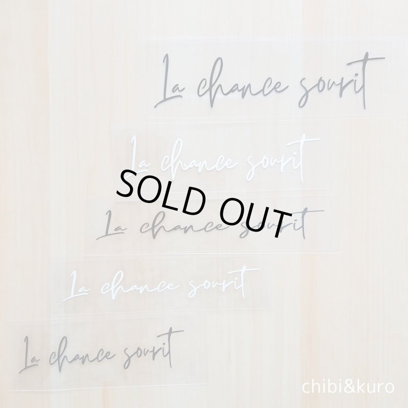 画像1: 【40⇒60%OFF】はがし済★La chance sourit/幸運の笑顔/10~14cm幅 (1)