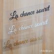 画像1: 【40％OFF】はがし済★La chance sourit/幸運の笑顔/3.5x16ｃｍ (1)