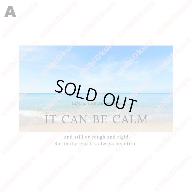 画像2: 【B品・コールド剥離】フォトフルカラーシート (2)