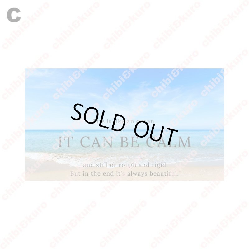 画像4: 【B品・コールド剥離】フォトフルカラーシート (4)