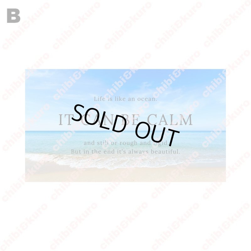 画像3: 【B品・コールド剥離】フォトフルカラーシート (3)