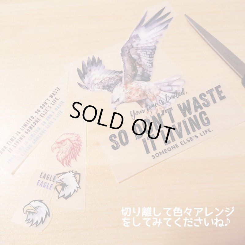 画像4: 在庫限り70％OFF【コールド剥離】イーグル＆文字フルカラー転写シート【4種類】 (4)