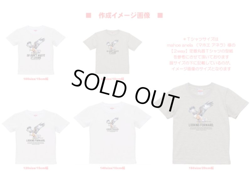 画像3: 在庫限り70％OFF【コールド剥離】イーグル＆文字フルカラー転写シート【4種類】 (3)