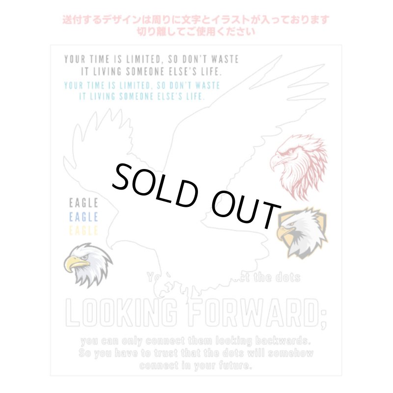 画像2: 在庫限り70％OFF【コールド剥離】イーグル＆文字フルカラー転写シート【4種類】 (2)
