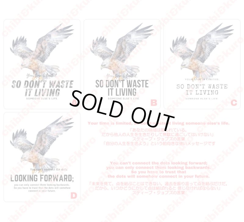 画像1: 在庫限り70％OFF【コールド剥離】イーグル＆文字フルカラー転写シート【4種類】 (1)