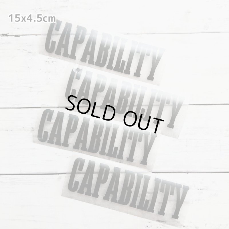 画像11: 【30⇒40%off】はがし済み★カレッジロゴ風フロッキーシート (11)