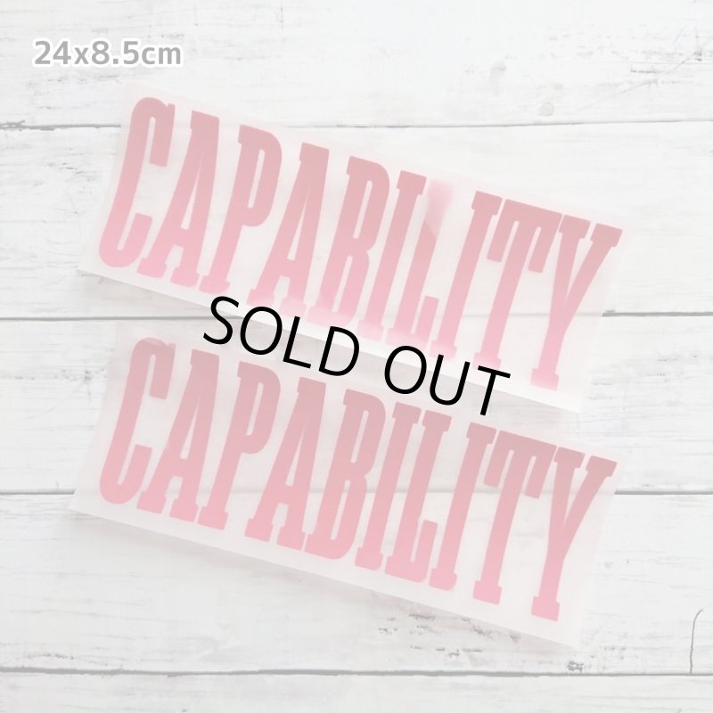 画像7: 【30⇒40%off】はがし済み★カレッジロゴ風フロッキーシート (7)