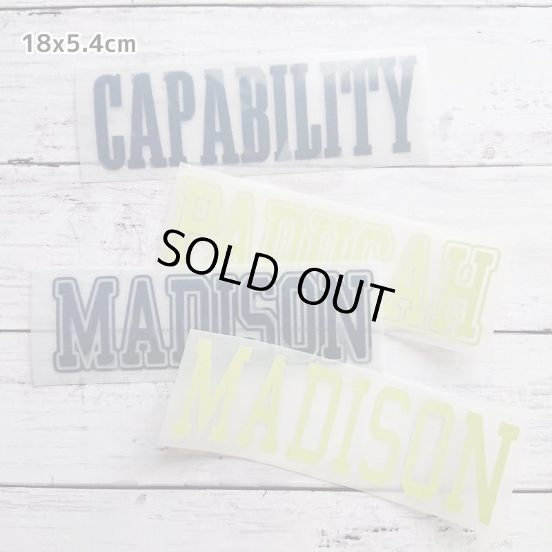 画像10: 【30⇒40%off】はがし済み★カレッジロゴ風フロッキーシート (10)