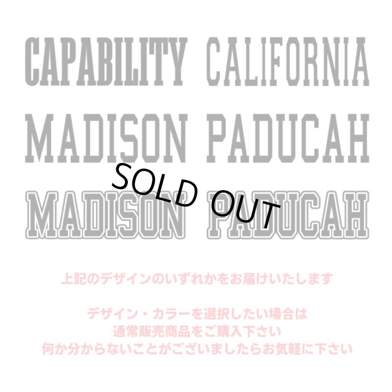 画像2: 【30⇒40%off】はがし済み★カレッジロゴ風フロッキーシート (2)