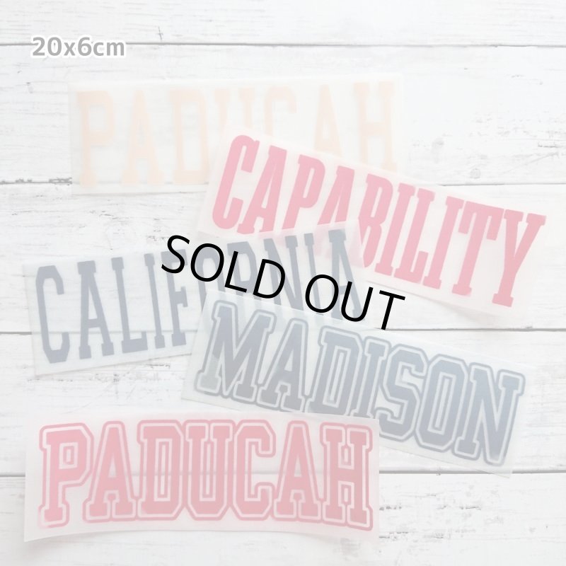 画像9: 【30⇒40%off】はがし済み★カレッジロゴ風フロッキーシート (9)