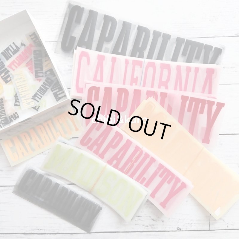 画像1: 【30⇒40%off】はがし済み★カレッジロゴ風フロッキーシート (1)