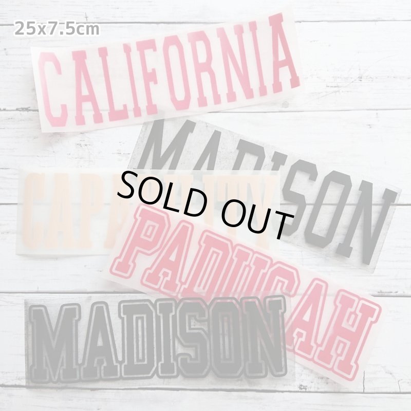 画像6: 【30⇒40%off】はがし済み★カレッジロゴ風フロッキーシート (6)