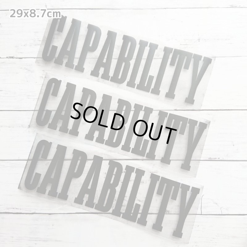 画像5: 【30⇒40%off】はがし済み★カレッジロゴ風フロッキーシート (5)