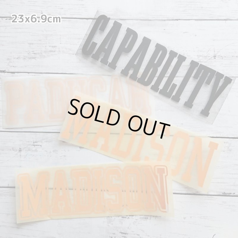 画像8: 【30⇒40%off】はがし済み★カレッジロゴ風フロッキーシート (8)