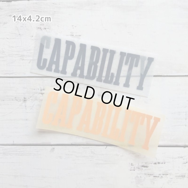 画像12: 【30⇒40%off】はがし済み★カレッジロゴ風フロッキーシート (12)