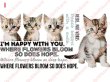 画像5: 【在庫整理50％OFF】デザインが選べるフルカラーシート　20ｘ10ｃｍ (5)